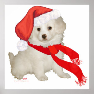 Póster Cachorro Poodle / Bichon Mix Ayudante de Santa