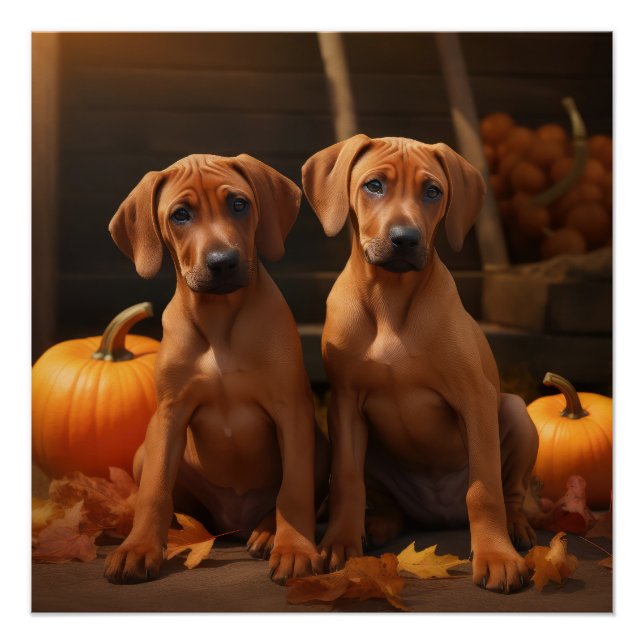 Póster Cachorro Rhodesian Ridgeback Otoño Delicia Calabaz (Anverso)