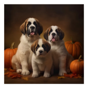 Póster Cachorro San Bernardo Delicia de Otoño Calabaza