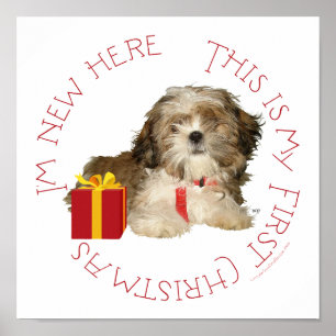 Póster Cachorro Shih Tzu Primera Navidad