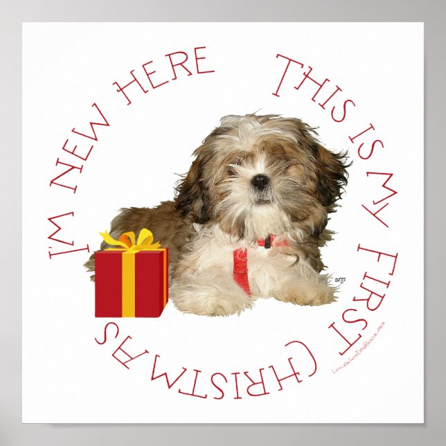 Póster Cachorro Shih Tzu Primera Navidad (Frente)
