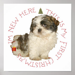 Póster Cachorro Shih Tzu Primera Navidad