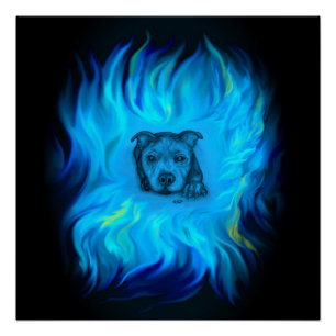 Póster Cachorro Staffy Azul