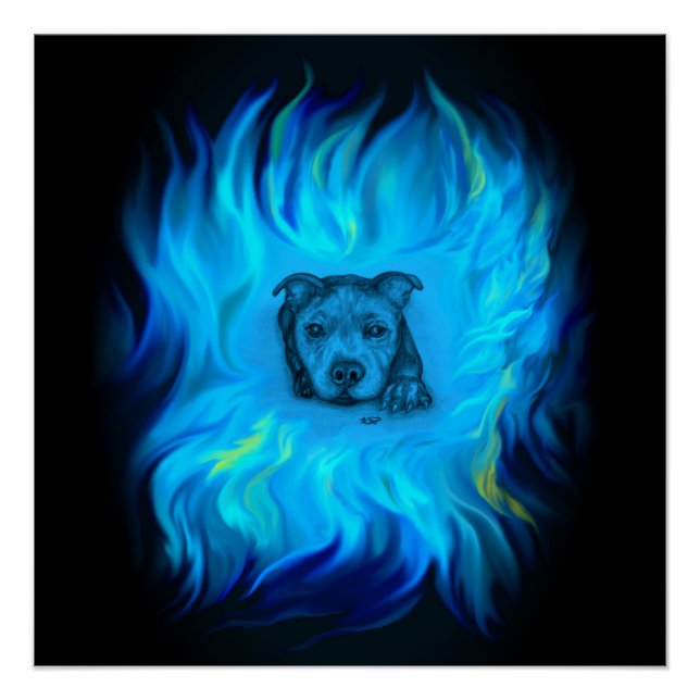 Póster Cachorro Staffy Azul (Anverso)