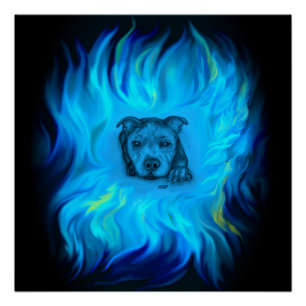 Póster Cachorro Staffy Azul