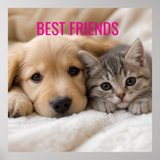 Póster Cachorro y Gatito Dormidos y Abrazados (Frente)