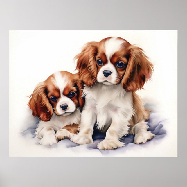 Póster Cachorros Cavalier King Charles (Frente)
