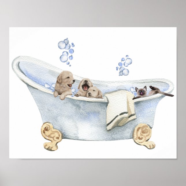 Póster Cachorros de Baño de Burbujas Gatito Bañera Baño (Frente)