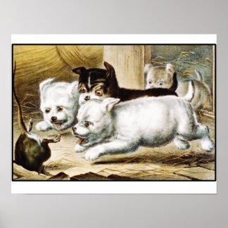 Póster Cachorros de Rat Terrier - Bella Artes de Vintage