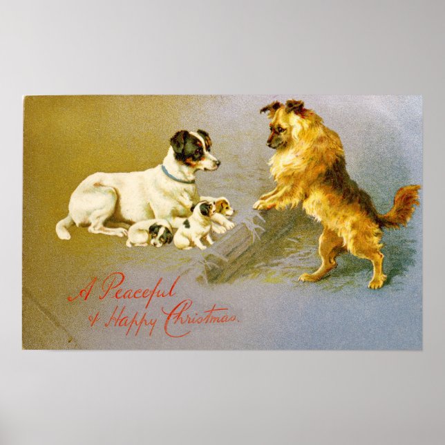 Póster Cachorros en la paja, postal victoriana (Frente)