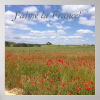 Cachorros franceses en el sur de Francia