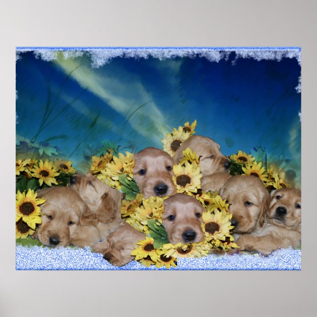 PÓSTER CACHORROS Y FLORES - POSTER DE RECUPERACIÓN DE ORO (Frente)