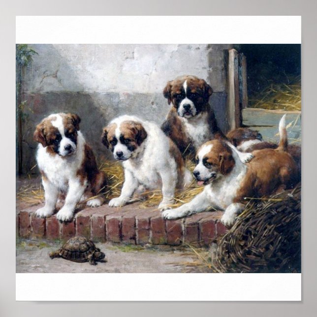 Póster Cachorros y tortugas de San Bernardo (Frente)