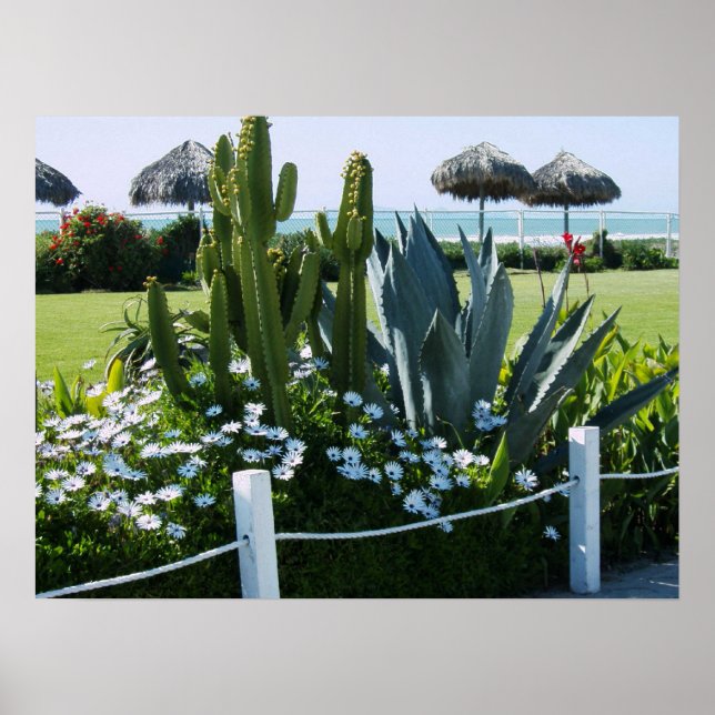 PÓSTER CACTI EN ROSARITO BEACH MÉXICO (Frente)