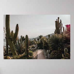 PÓSTER CACTI HILL
