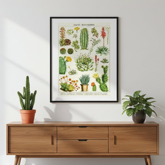 Póster Cacti Succulent Scientific Chart (Subido por el creador)