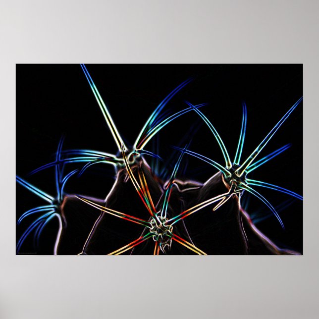 Póster Cactus 1 wapcna (Frente)