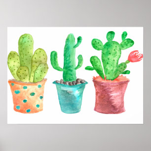 Póster Cactus acuarela