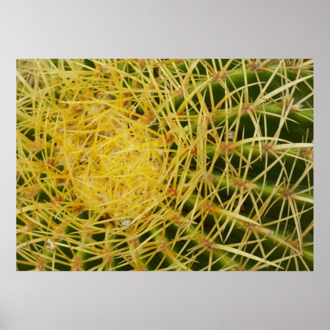 Póster Cactus Closeup Resumen Fotografía de la Naturaleza (Frente)
