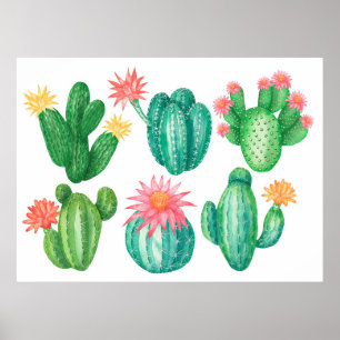 Póster Cactus con flores. Elementos aislados en un