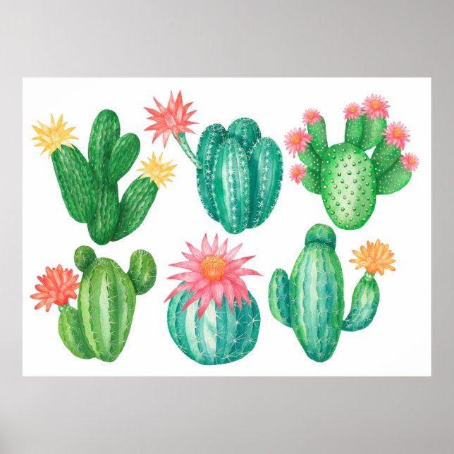 Póster Cactus con flores. Elementos aislados en un (Frente)