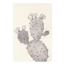 Cactus del desierto