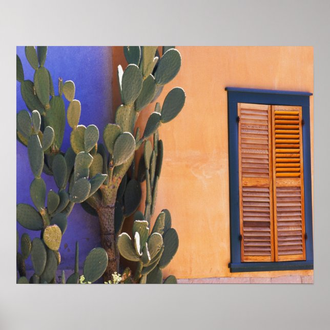 Póster Cactus del suroeste (Opuntia dejecta) y (Frente)