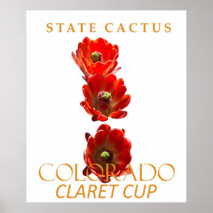 Póster Cactus del Territorio de Colorado La Copa de Clare