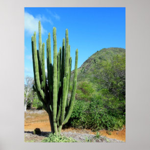 Póster Cactus del tubo de órgano