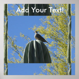 Póster Cactus Dove