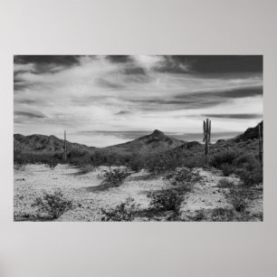 Póster Cactus en arenas blancas