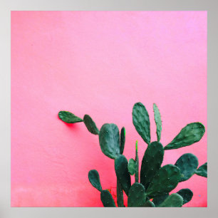 Póster Cactus en fondo rosado