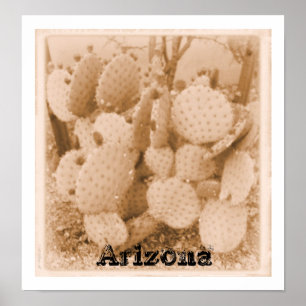 Póster cactus en sepia