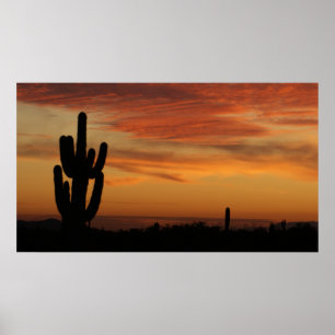 Póster Cactus IDKP Arizona al atardecer