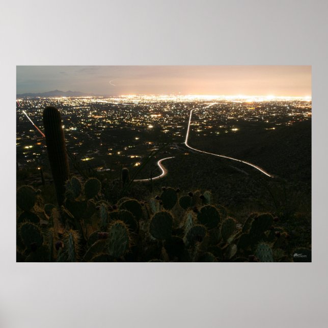 Póster Cactus Night Lights (Frente)