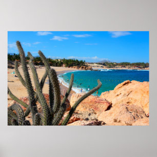 Póster Cactus On Rocky Hilltop Over Sandy Beach