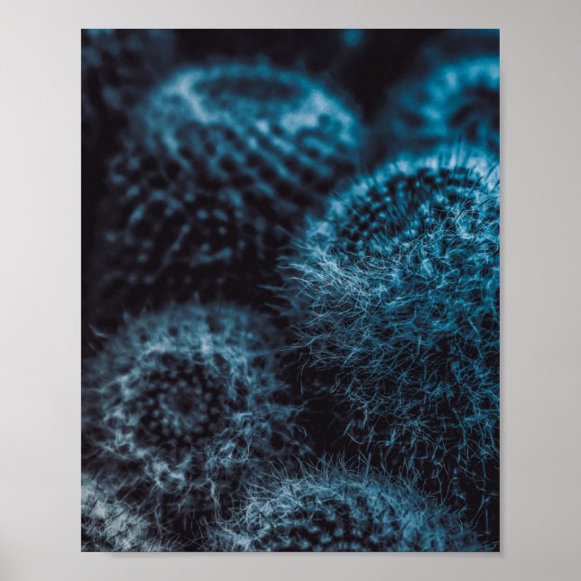 Póster Cactus oscuro (Frente)