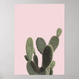 Póster Cactus Pear y Rosado