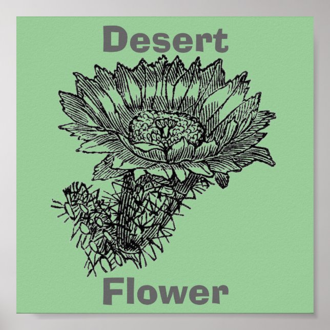 Póster Cactus Poster (Frente)