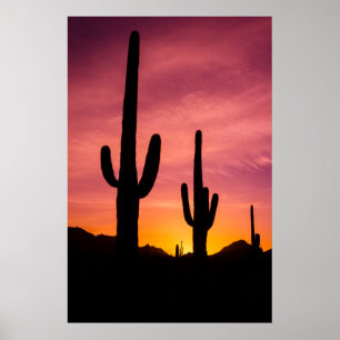 Póster Cactus saguaro al amanecer, Arizona