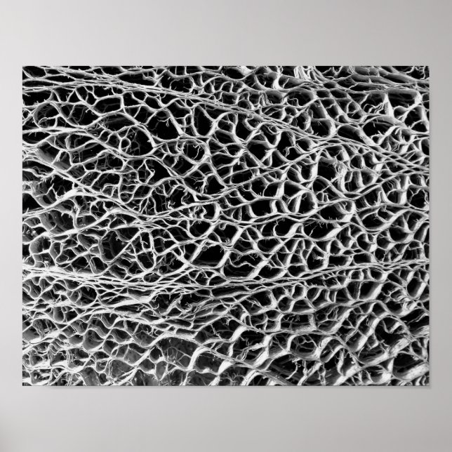 Póster Cactus Skeleton (Frente)