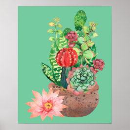 Póster Cactus, Succulents, Cactus Flower, Arreglo