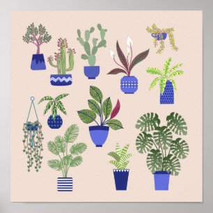 Póster Cactus Succulum Houseplant Pink