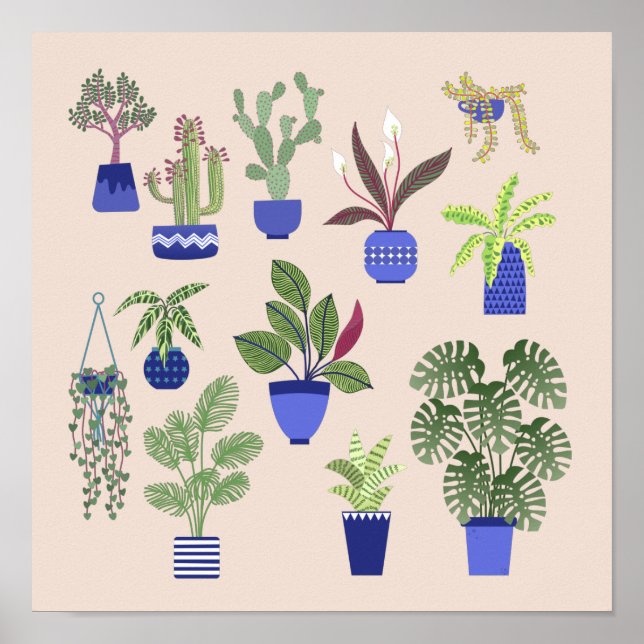 Póster Cactus Succulum Houseplant Pink (Frente)