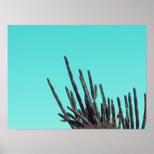 Póster Cactus Verde pálido Plantas suculentas Minimalismo (Frente)