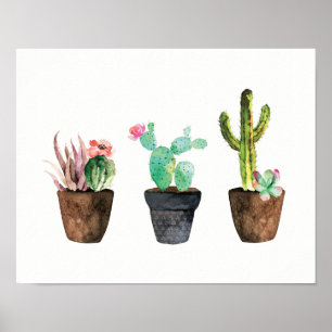 Póster Cactus y el exitoso trío uno