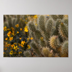Póster cactus y flores silvestres