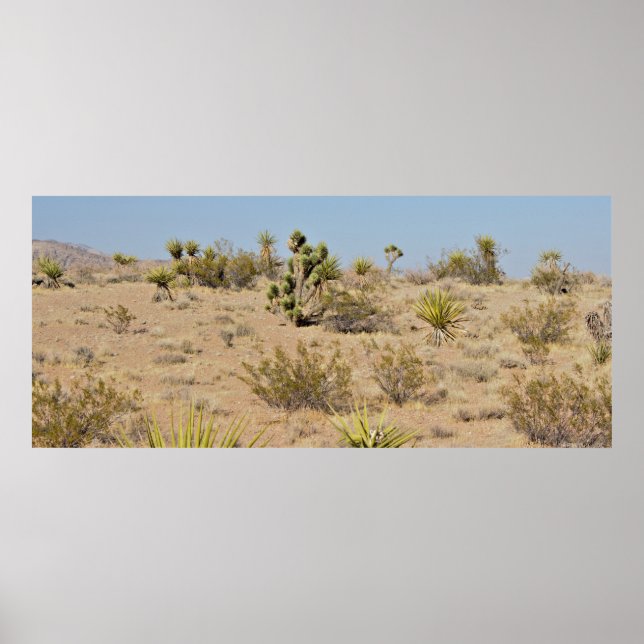 Póster Cactus y plantas del desierto (Frente)