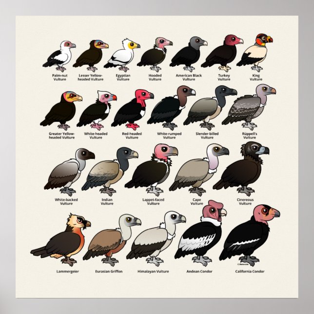 Póster Cada buitre (Frente)