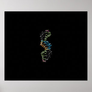 Póster cadena de ADN